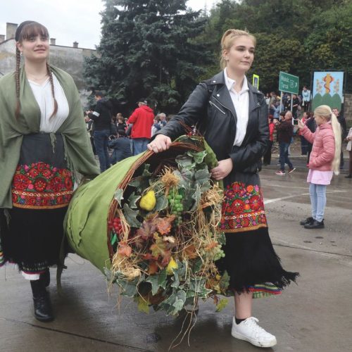 28fc487297ac4d3bbda6748f341474cb