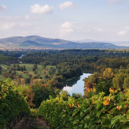 mindszenthavi-mulatsag-1